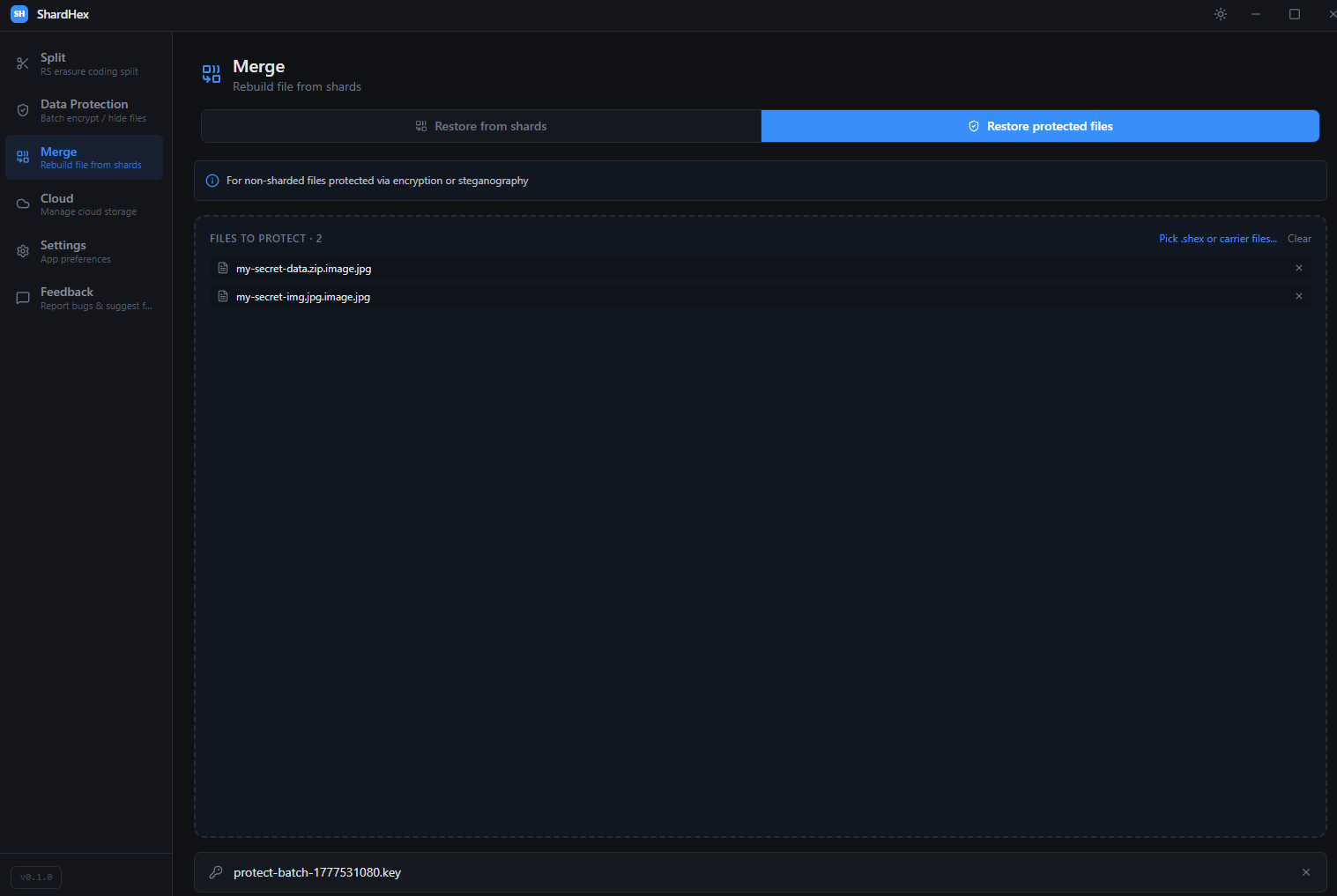 ShardHex — Restore Data